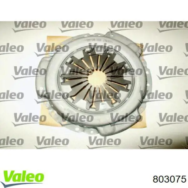 Disco de embraiagem 600170300 Mapa
