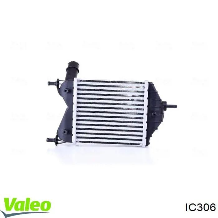 Compre IC306 VALEO Bobina de ignição