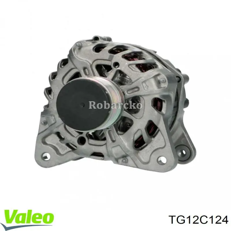 Compre TG12C124 VALEO Gerador