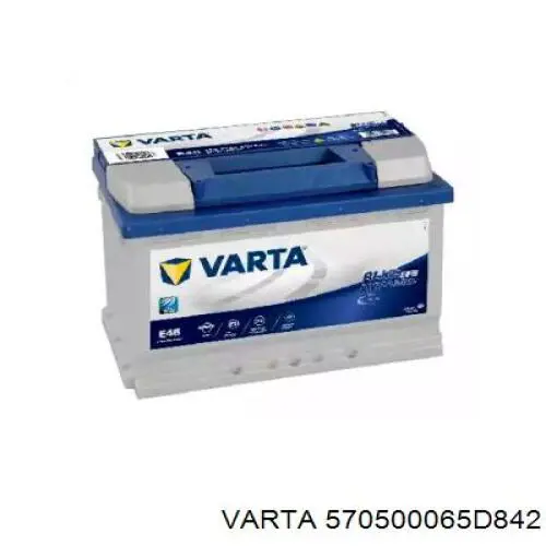 Compre 570500065D842 Varta Bateria recarregável (PILHA)