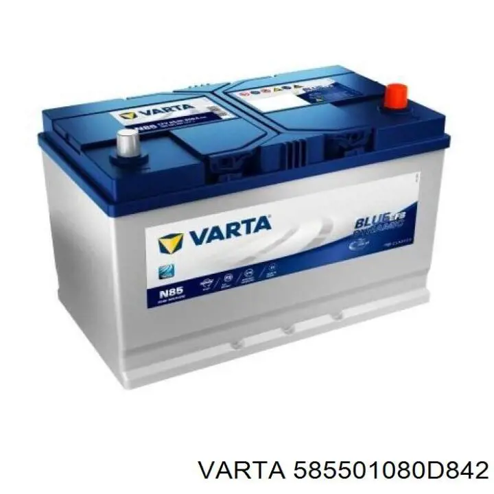Compre VA585501080 Varta Bateria recarregável (PILHA)