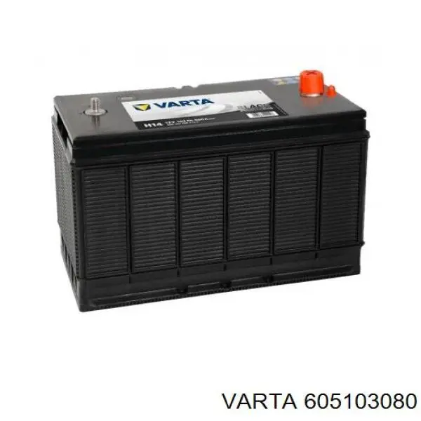 Compre 605103080 Varta Bateria recarregável (PILHA)