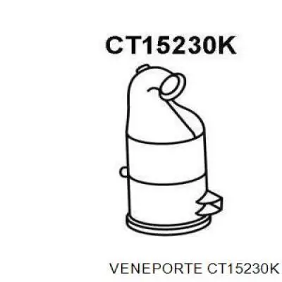 00001731YS Peugeot/Citroen Convertidor - catalisador