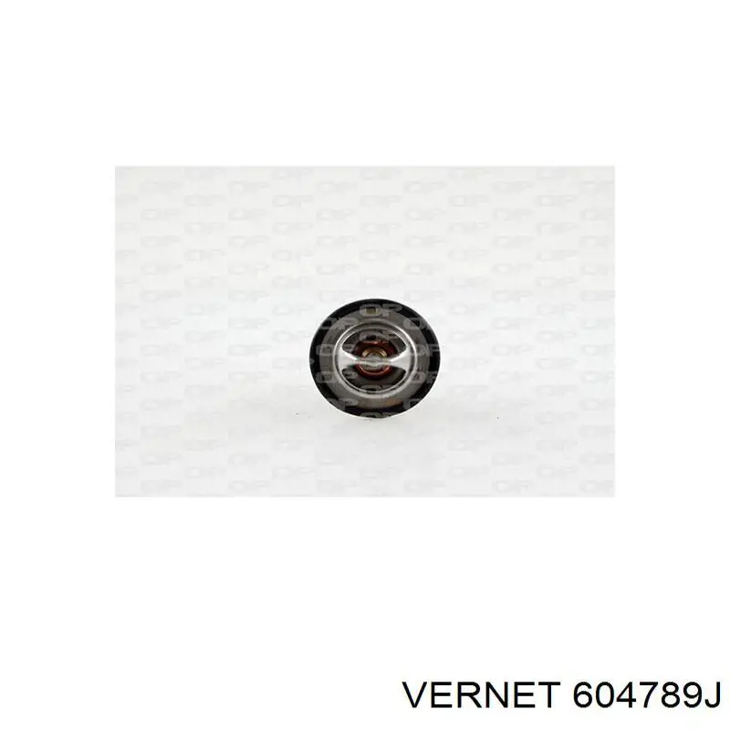 Compre 604789J Vernet Termostato