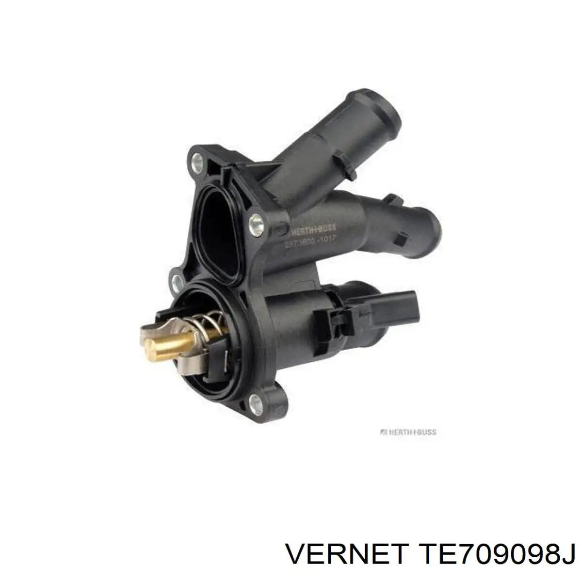 Compre TE709098J Vernet Termostato