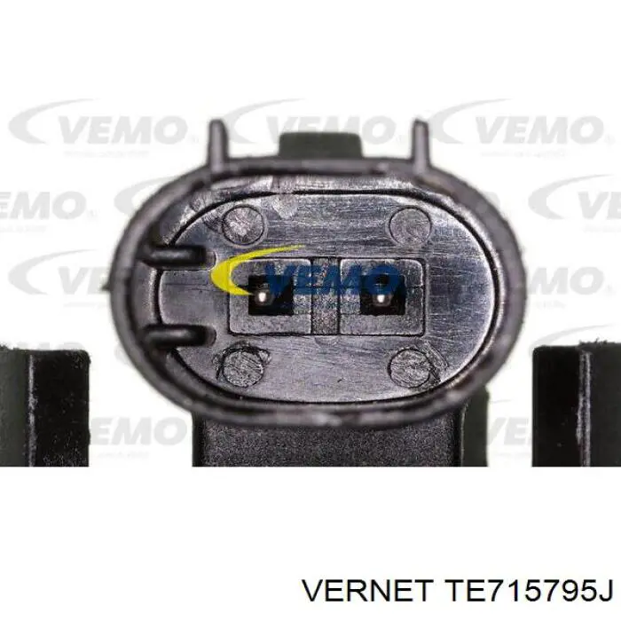 Compre TE715795J Vernet Termostato
