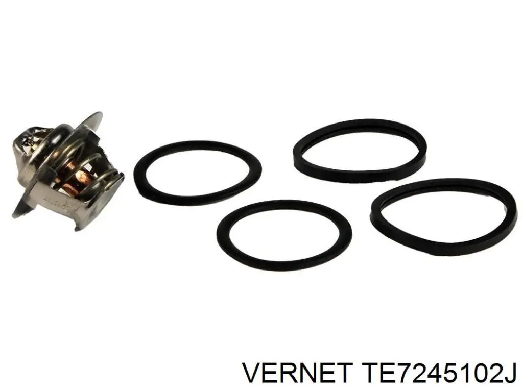 TE7245102J Vernet Caixa do termostato