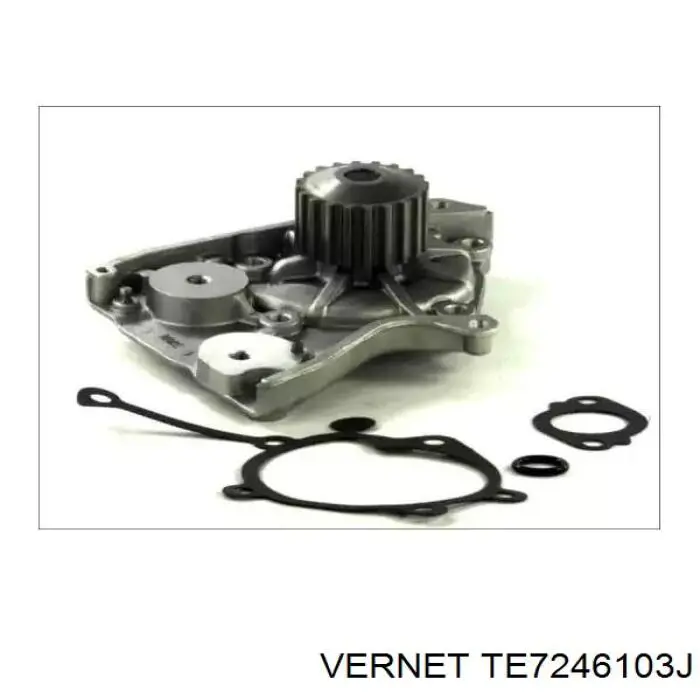 Compre TE7246103J Vernet Termostato