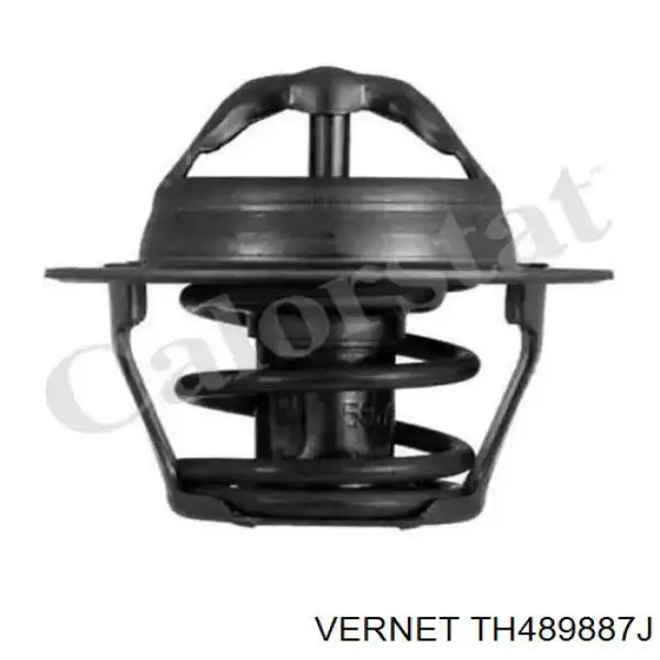 Compre TH489887J Vernet Termostato