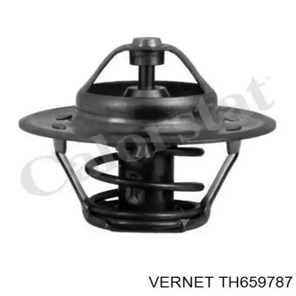 Compre 11021306010 ZAZ Termostato