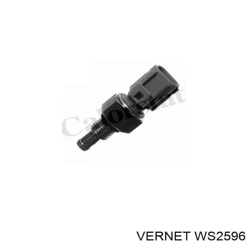 Compre WS2596 Vernet Sensor de temperatura do fluido de esfriamento