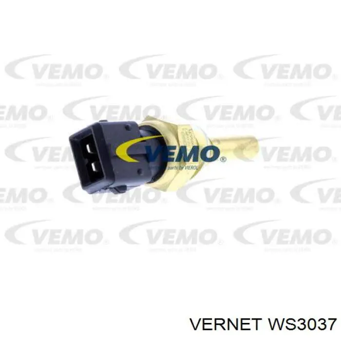 Compre WS3037 Vernet Sensor de temperatura do fluido de esfriamento