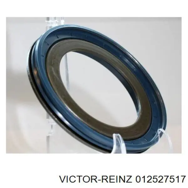 012527517 Victor Reinz Kit de vedantes de motor completo