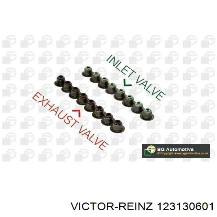 123130601 Victor Reinz Vedação de válvula (coletor de óleo), admissão/escape, kit para um motor