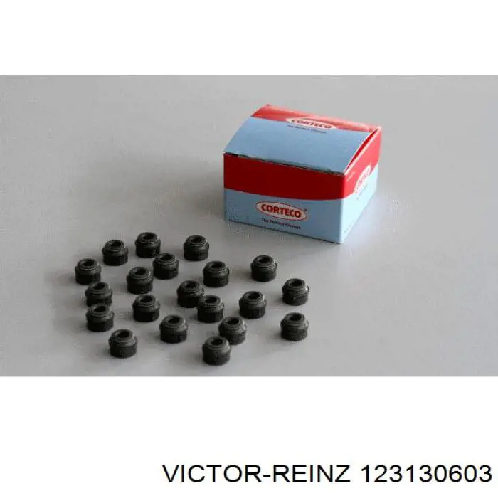 123130603 Victor Reinz Vedação de válvula (coletor de óleo), admissão/escape, kit para um motor