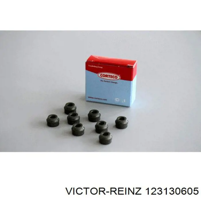 123130605 Victor Reinz Vedação de válvula (coletor de óleo), admissão/escape, kit para um motor