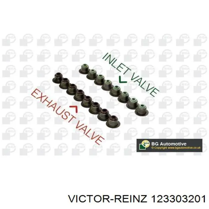 123303201 Victor Reinz Vedação de válvula (coletor de óleo), admissão/escape, kit para um motor