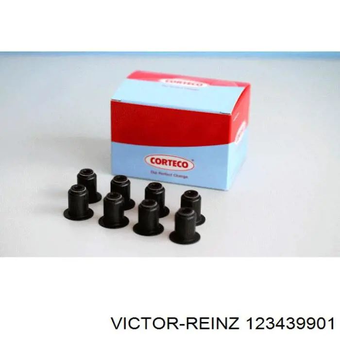 123439901 Victor Reinz Vedação de válvula (de óleo) de admissão, kit