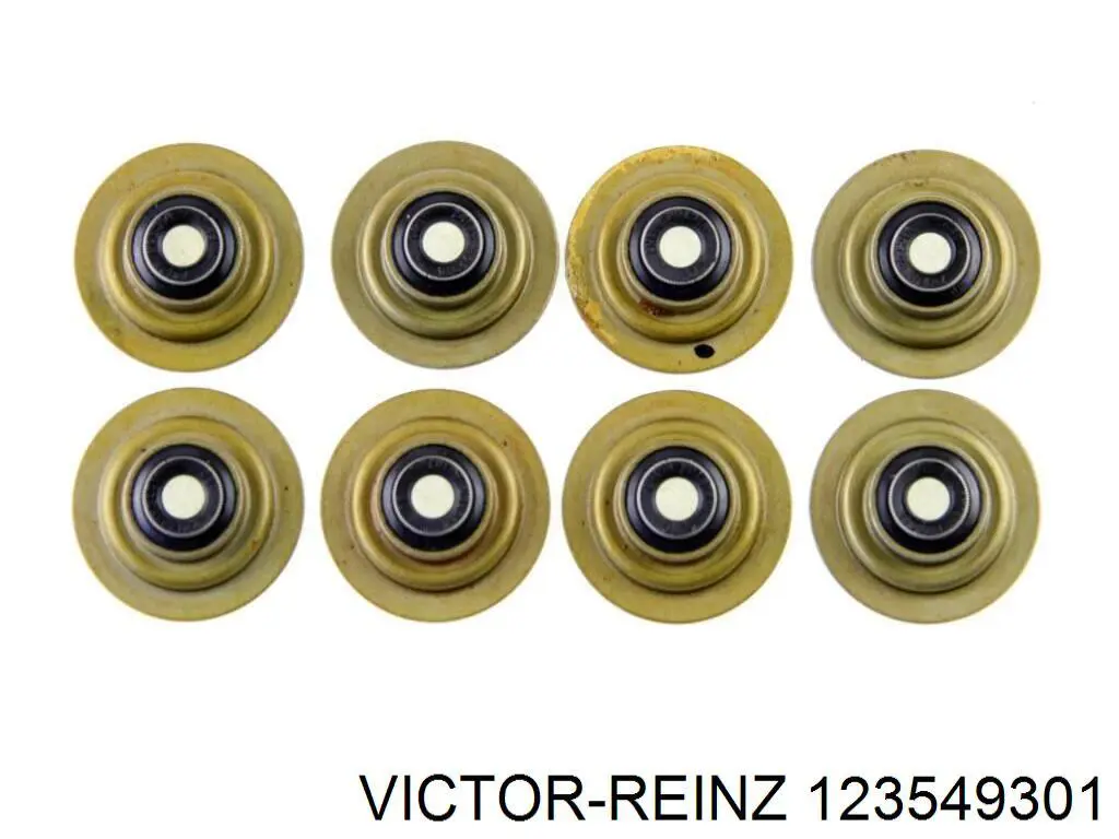 123549301 Victor Reinz Vedação de válvula (coletor de óleo), admissão/escape, kit para um motor