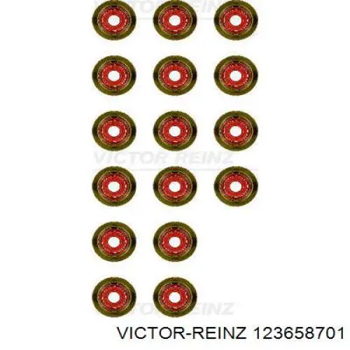 123658701 Victor Reinz Vedação de válvula (coletor de óleo), admissão/escape, kit para um motor