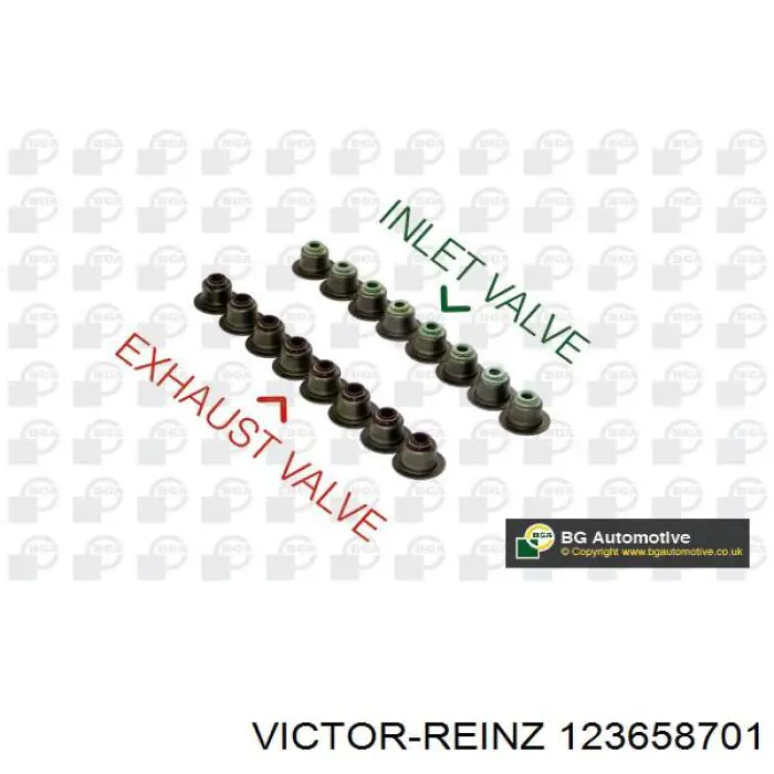 Vedação de válvula (coletor de óleo), admissão/escape, kit para um motor Victor Reinz 123658701 preço, a partir de 38,06 USD