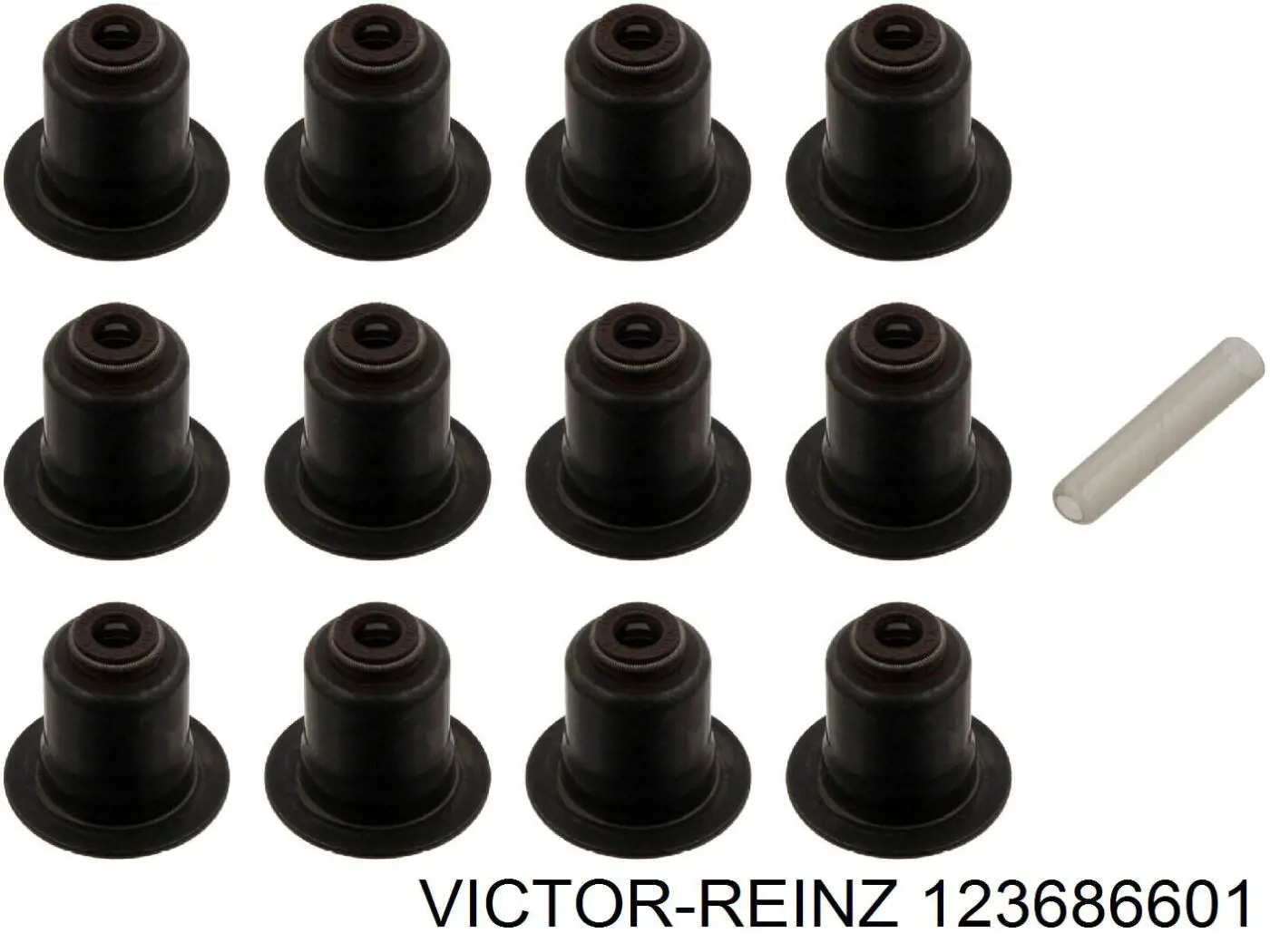 123686601 Victor Reinz Vedação de válvula (de óleo) de admissão, kit