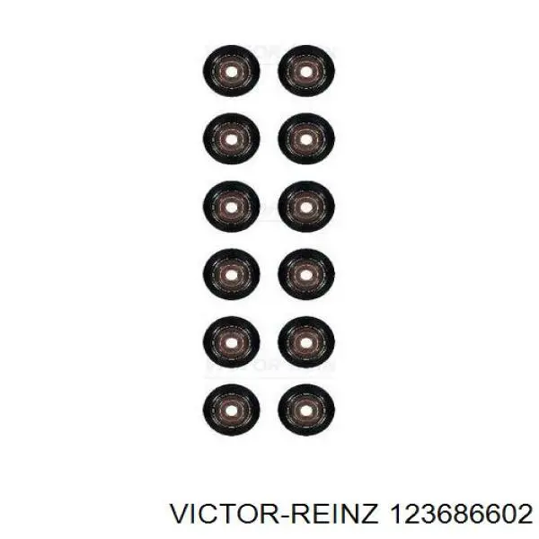 123686602 Victor Reinz Vedação de válvula (coletor de óleo), admissão/escape, kit para um motor