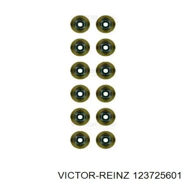 123725601 Victor Reinz Vedação de válvula (de óleo) de escape, kit