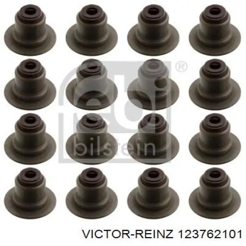 Compre 123762101 Victor Reinz Vedação de válvula (coletor de óleo), admissão/escape, kit para um motor