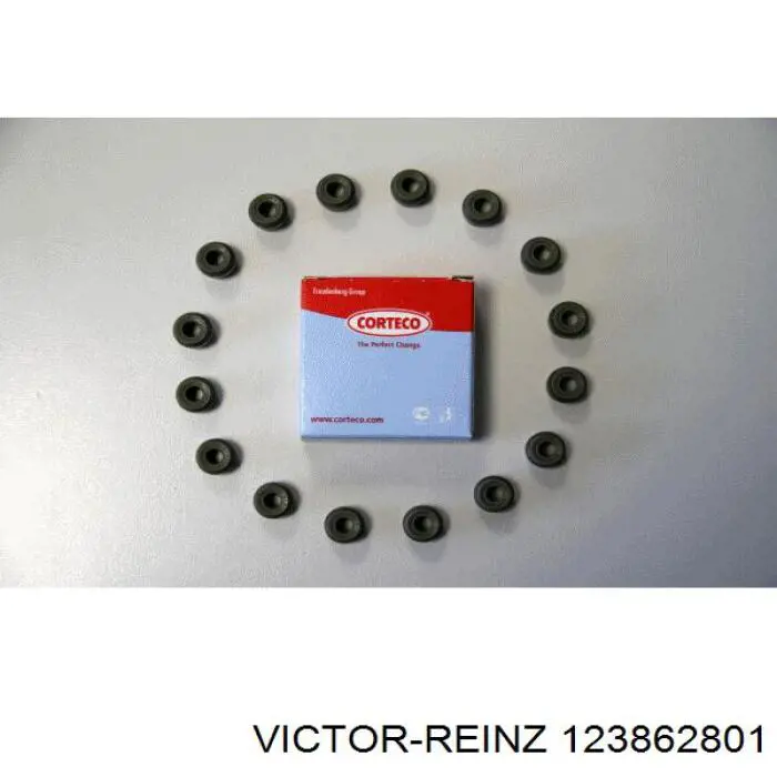 123862801 Victor Reinz Vedação de válvula (coletor de óleo), admissão/escape, kit para um motor