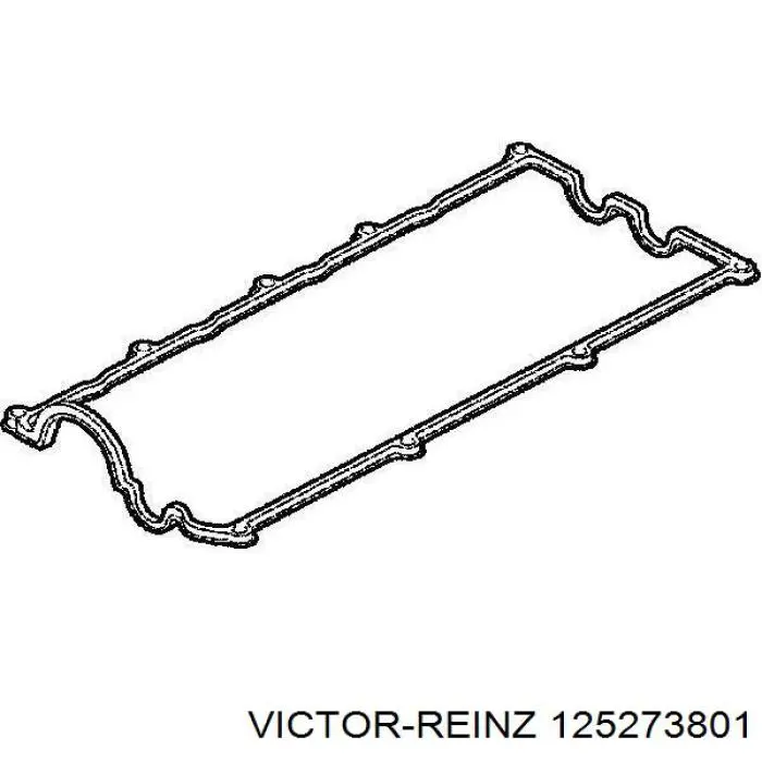 Compre 125273801 Victor Reinz Bucim de válvula (coletor de óleo), admissão/escape