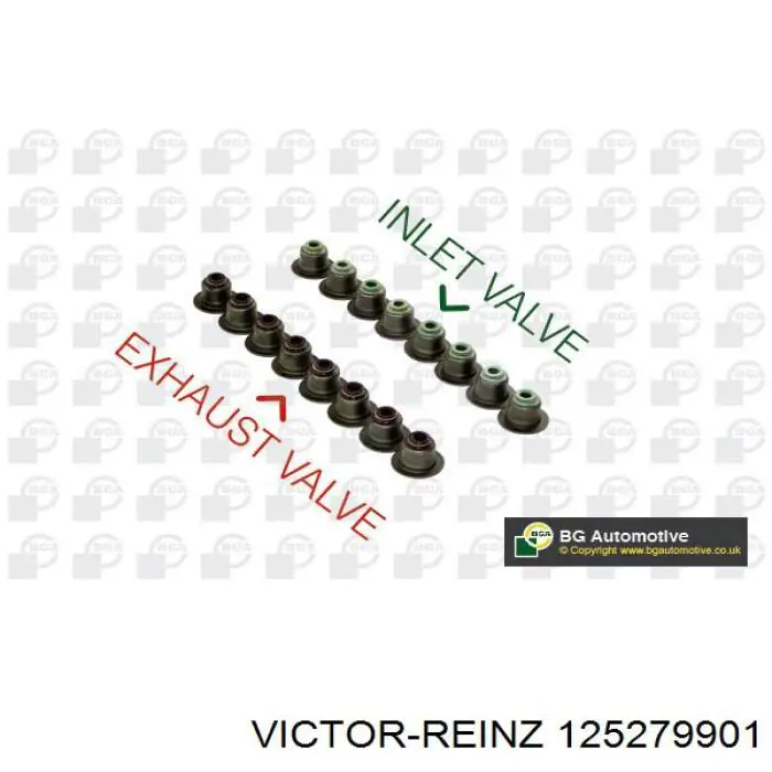 Compre 125279901 Victor Reinz Vedação de válvula (coletor de óleo), admissão/escape, kit para um motor