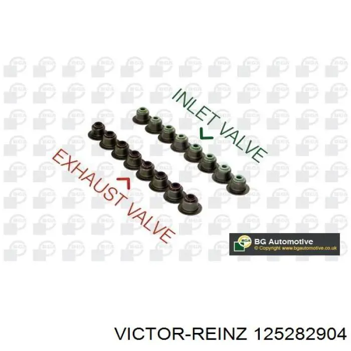 125282904 Victor Reinz Vedação de válvula (coletor de óleo), admissão/escape, kit para um motor