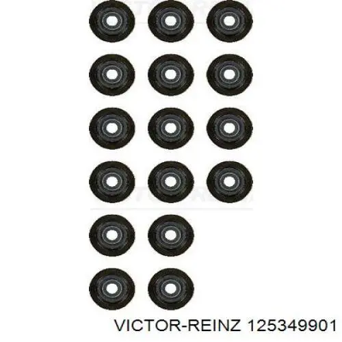 125349901 Victor Reinz Vedação de válvula (coletor de óleo), admissão/escape, kit para um motor
