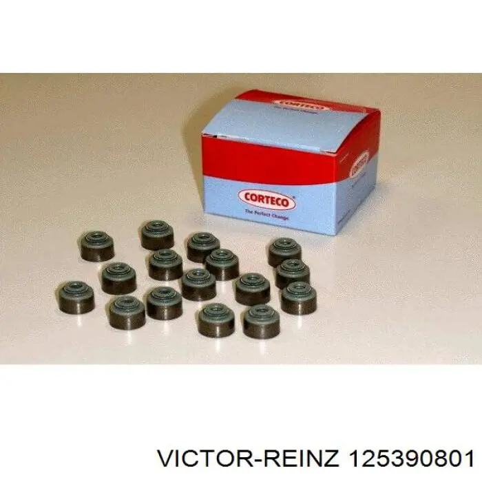 125390801 Victor Reinz Vedação de válvula (coletor de óleo), admissão/escape, kit para um motor