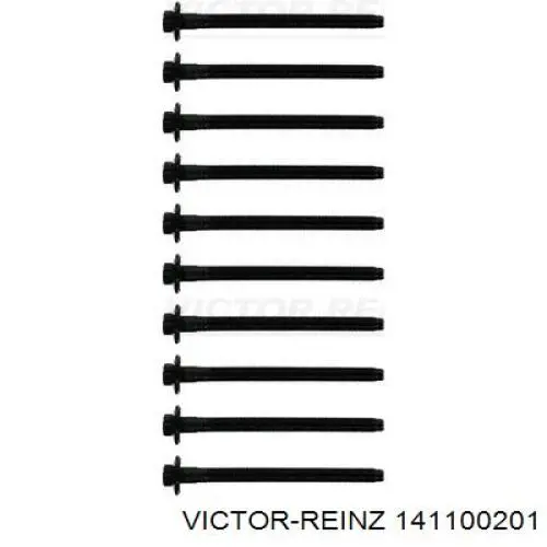 141100201 Victor Reinz Parafuso de cabeça de motor (CBC)