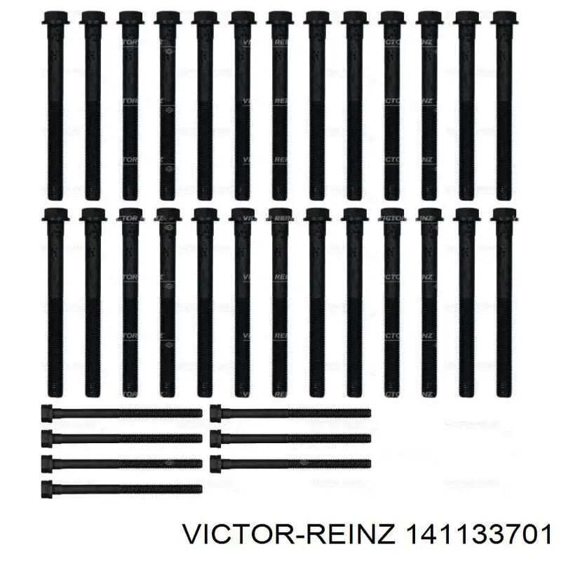 Compre 141133701 Victor Reinz Parafuso de cabeça de motor (CBC)