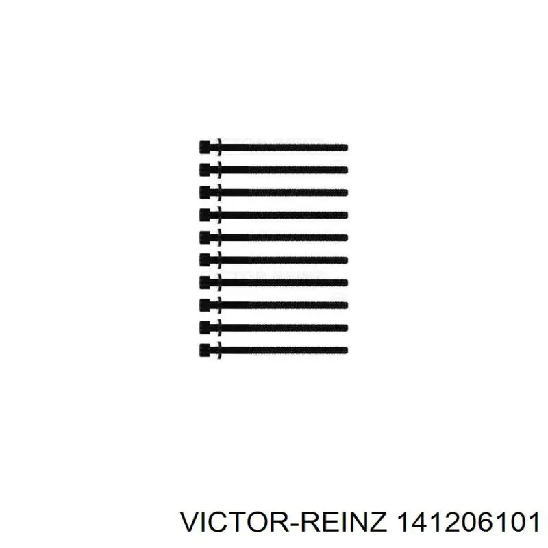 141206101 Victor Reinz Parafuso de cabeça de motor (CBC)
