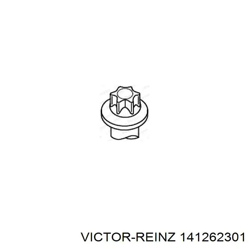 141262301 Victor Reinz Parafuso de cabeça de motor (CBC)