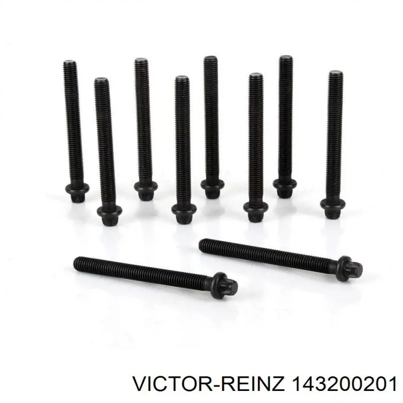 Compre 143200201 Victor Reinz Parafuso de cabeça de motor (CBC)