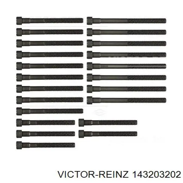 Compre 143203202 Victor Reinz Parafuso de cabeça de motor (CBC)