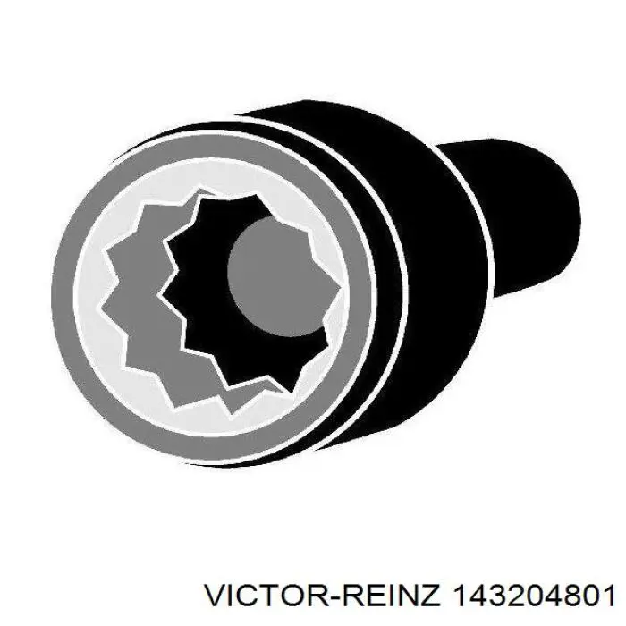 143204801 Victor Reinz Parafuso de cabeça de motor (CBC)