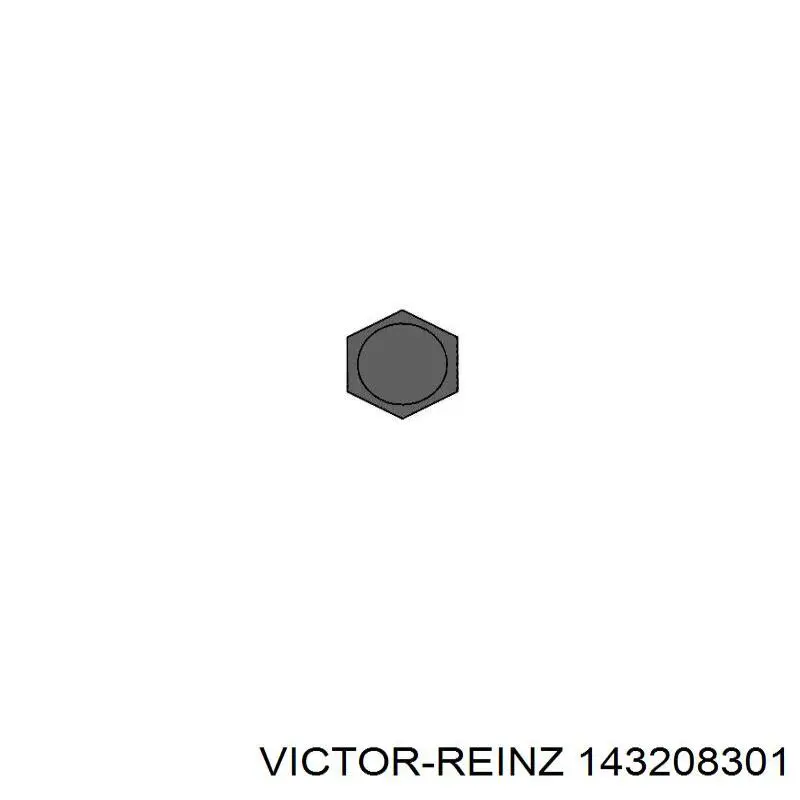 Parafuso de cabeça de motor (CBC) Victor Reinz 143208301 preço, a partir de 49,66 USD