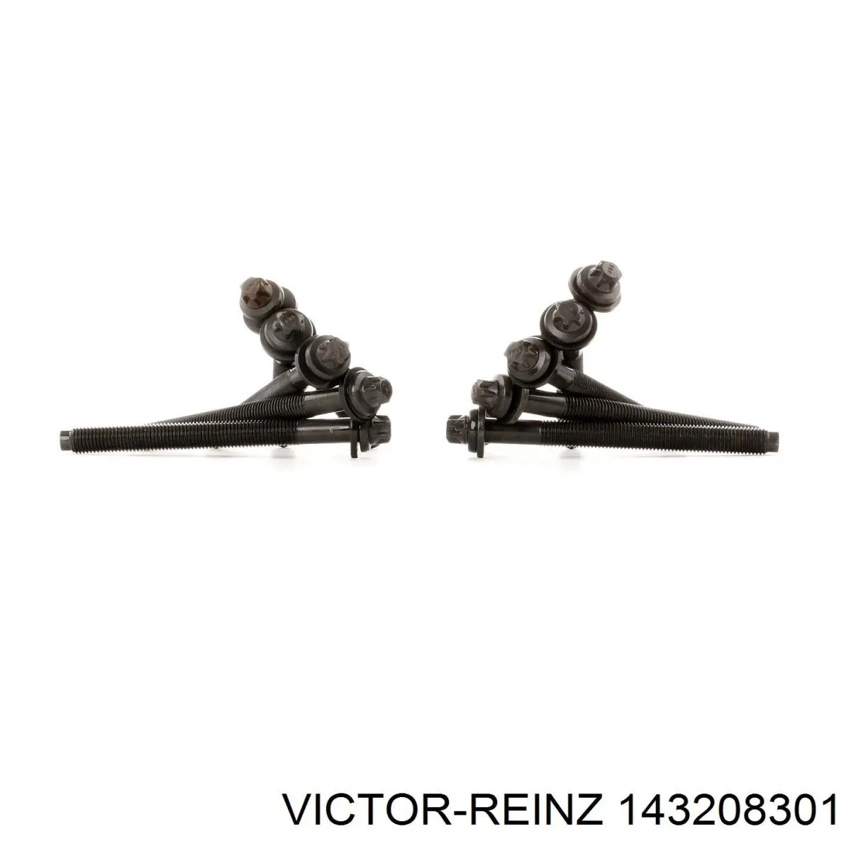 Compre 143208301 Victor Reinz Parafuso de cabeça de motor (CBC)
