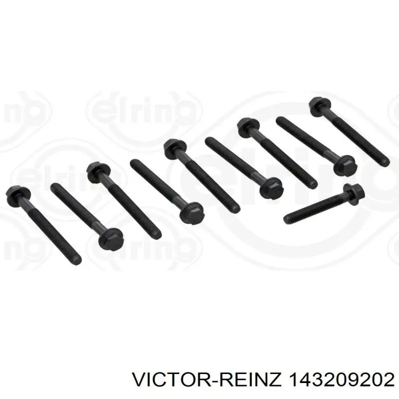 143209202 Victor Reinz Parafuso de cabeça de motor (CBC)