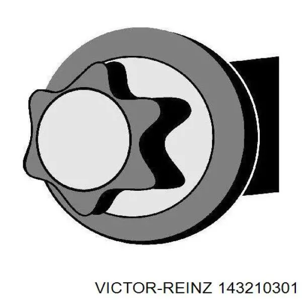 Compre 143210301 Victor Reinz Parafuso de cabeça de motor (CBC)