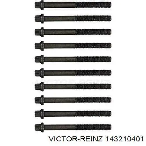 Compre 143210401 Victor Reinz Parafuso de cabeça de motor (CBC)