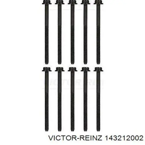 Compre 143212002 Victor Reinz Parafuso de cabeça de motor (CBC)