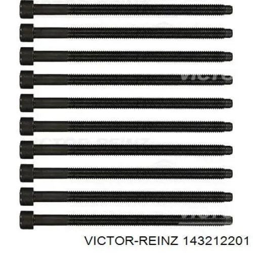 143212201 Victor Reinz Parafuso de cabeça de motor (CBC)