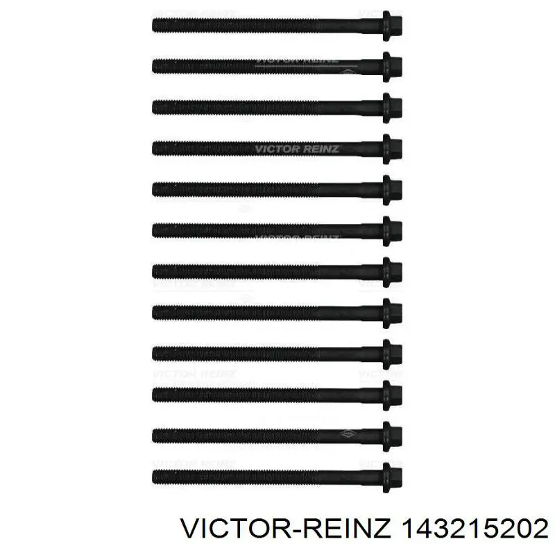 143215202 Victor Reinz Parafuso de cabeça de motor (CBC)